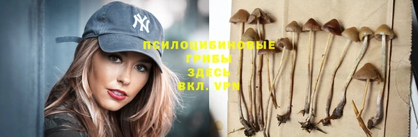 сатива Арсеньев