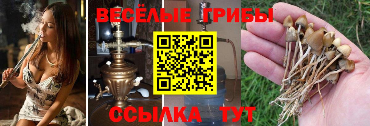 Галлюциногенные грибы Cubensis  Вход с VPN  Псилоцибиновые грибы мицелий  Улан-Удэ 
